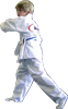 Karate