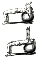 Swiss Ball