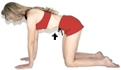 Transverse Abs Raised